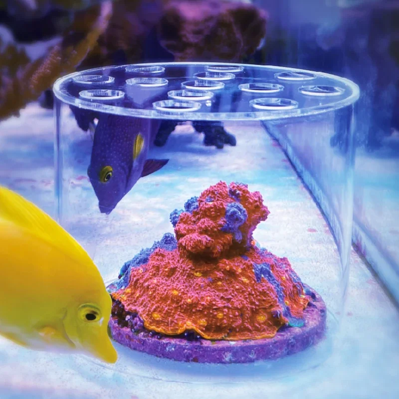 Coral Frag Plug - Vastocean Aquarium Arcylic Coral Feeder Hood