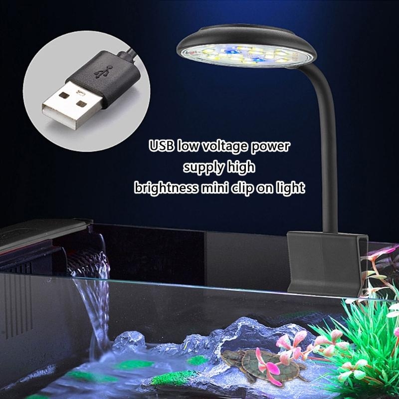 Marine Life Aquariums - Điều chỉnh độ sáng LED Aquariums