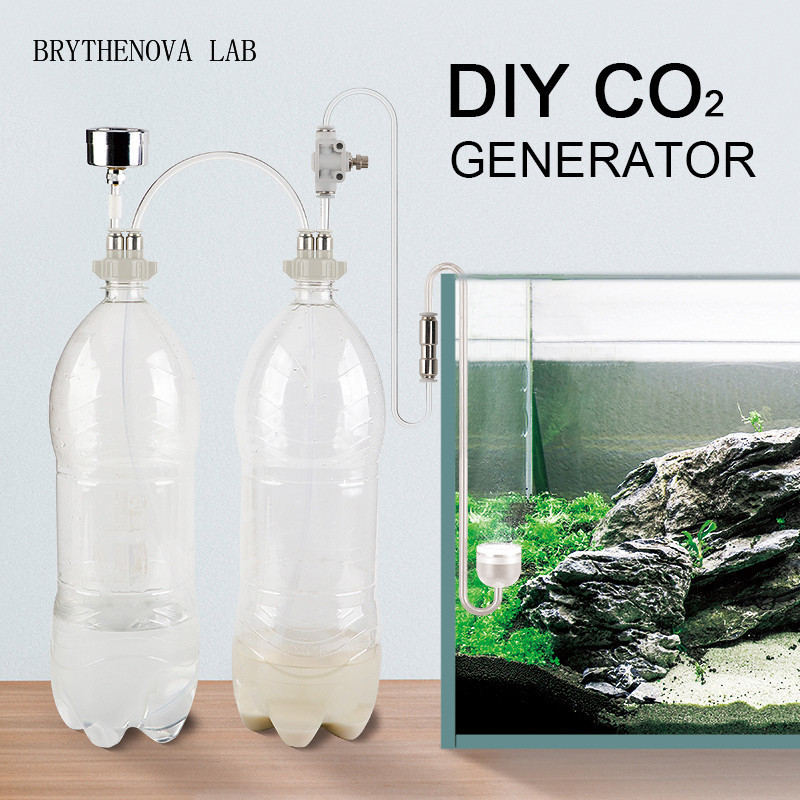 CO2 Generator Aquarium Planted - đánh giá và giá Aquarium Marine Plants
