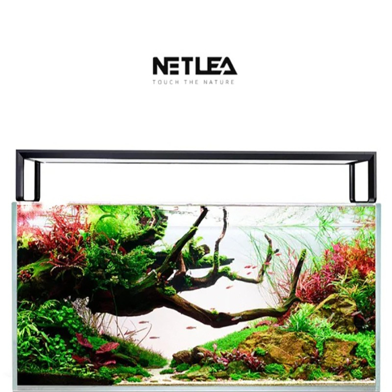 Netlea AT5S V3 Smart Wifi APP  - đánh giá và giá Aquarium Marine Plants
