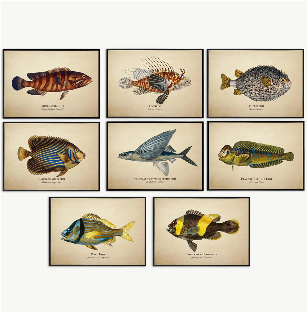 Vintage Pictures Tropical Fish - đánh giá và giá Marine Life Aquariums