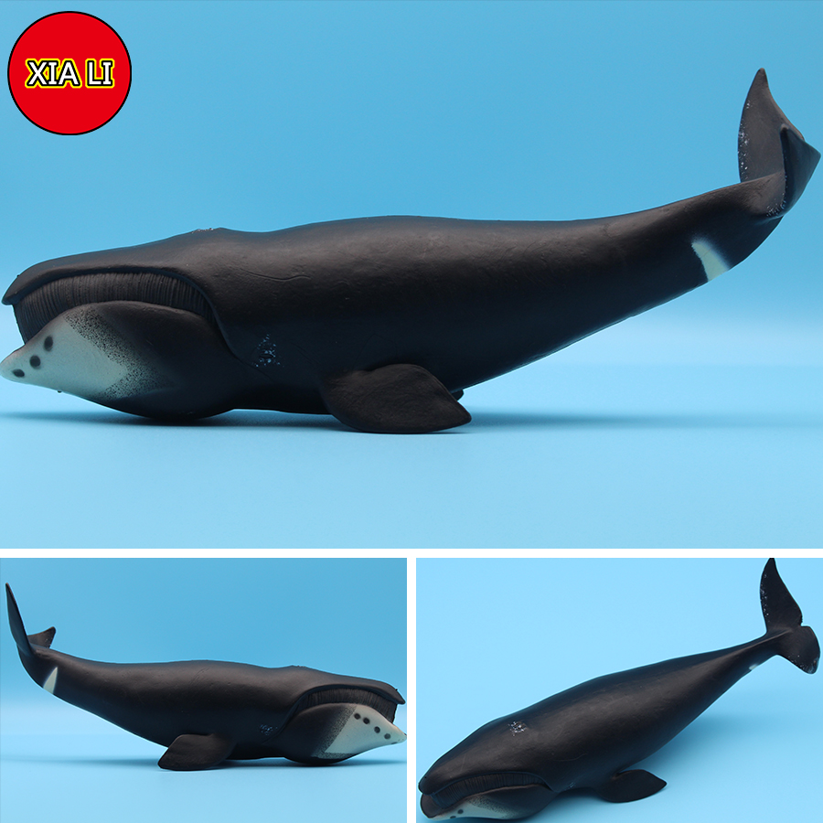 Ocean Sea Life Simulation Kill - đánh giá và giá Marine Life Aquariums