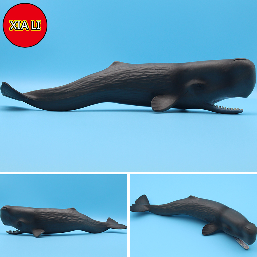Ocean Sea Life Simulation Kill - đánh giá và giá Marine Life Aquariums