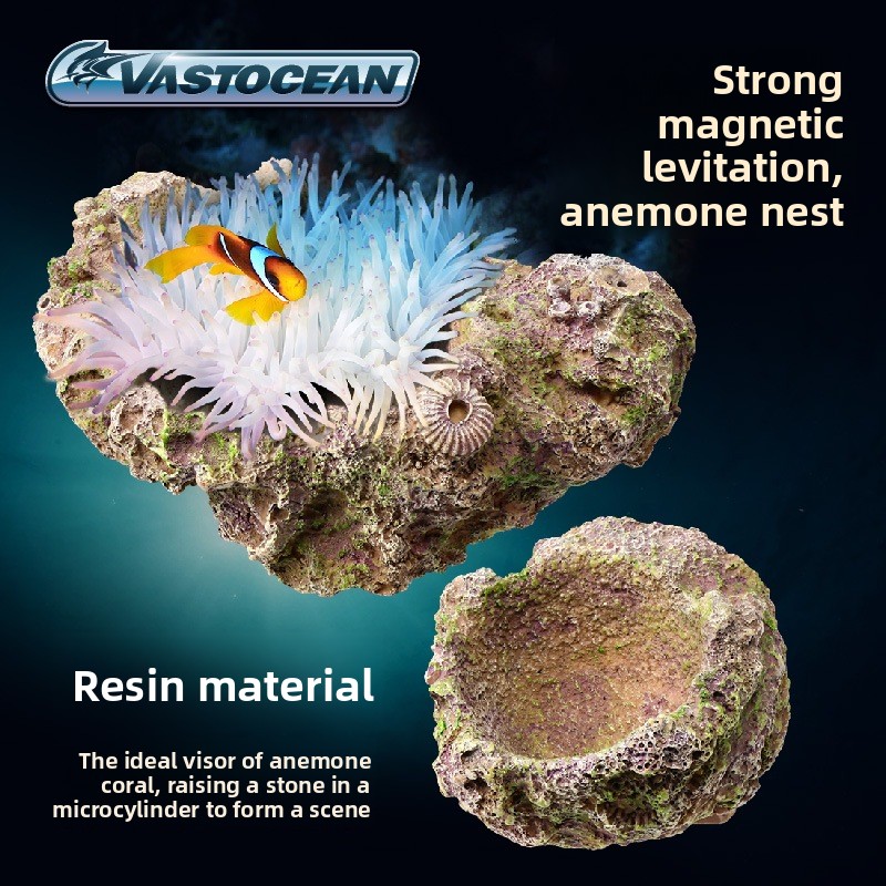 VASTOCEAN Magnetic Anemone Hol - đánh giá và giá Coral Frag Plug