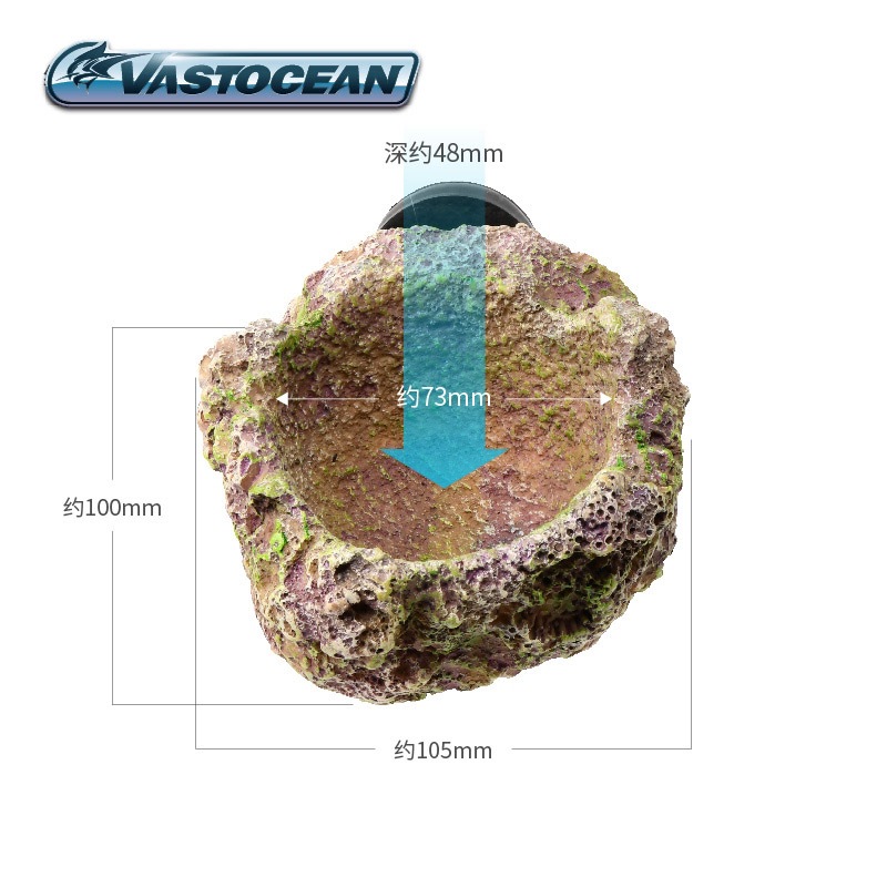VASTOCEAN Magnetic Anemone Hol - đánh giá và giá Coral Frag Plug
