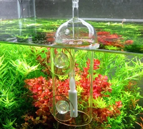 VIV Do Device Aquarium Cylinde - đánh giá và giá Aquarium Marine Plants