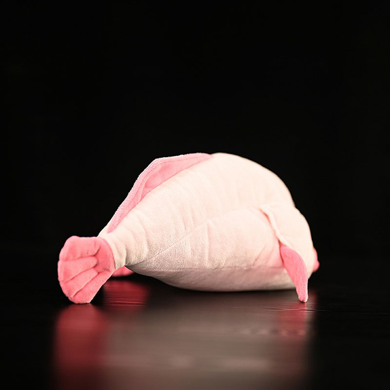 Simulated Animal Blobfish Sea  - đánh giá và giá Aquarium And Marine Museum
