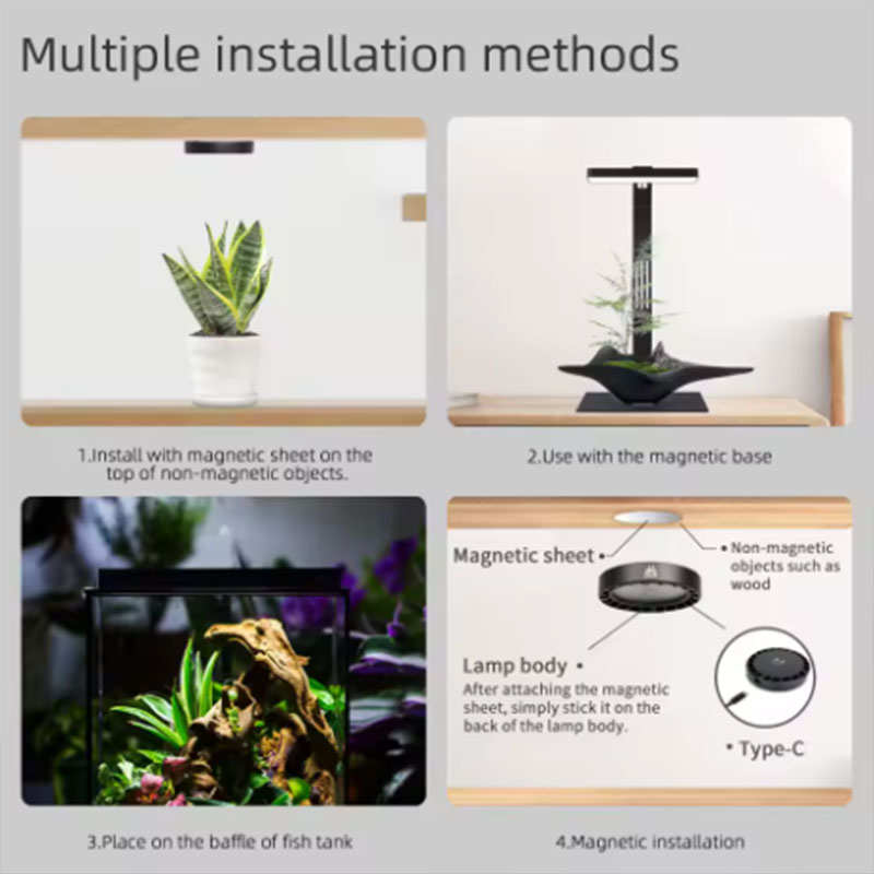 Sunsun Hộp Thay Thế Lõi Lọc Nư - đánh giá và giá Aquarium Marine Plants