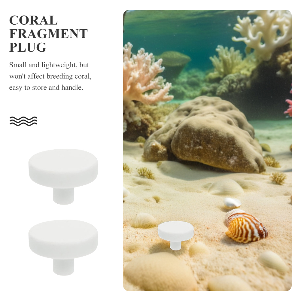 20Pcs Aquarium Coral Stand Cor - đánh giá và giá Coral Frag Plug