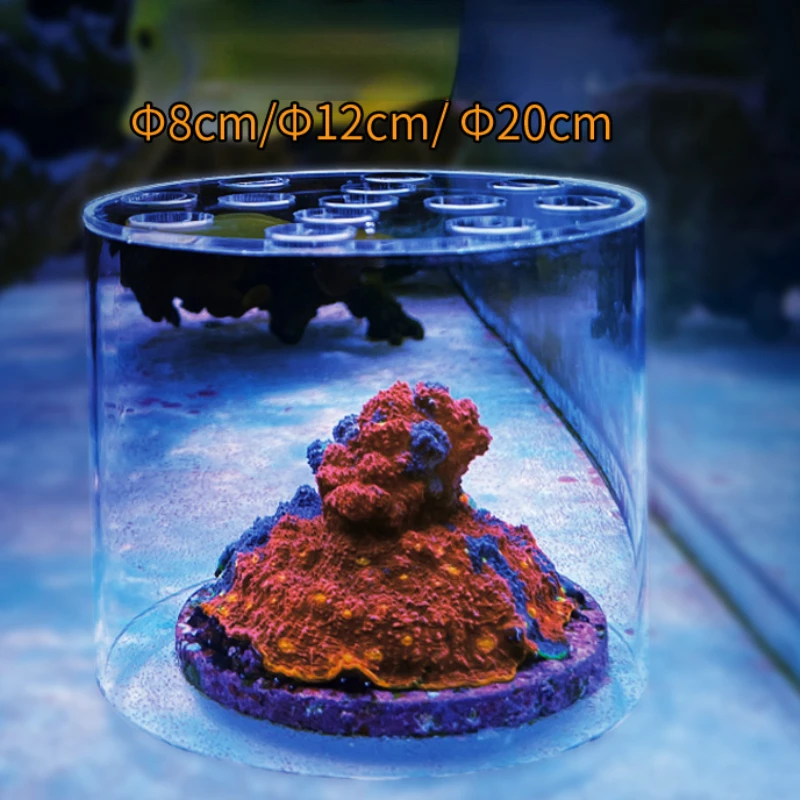 Vastocean Aquarium Arcylic Cor - đánh giá và giá Coral Frag Plug