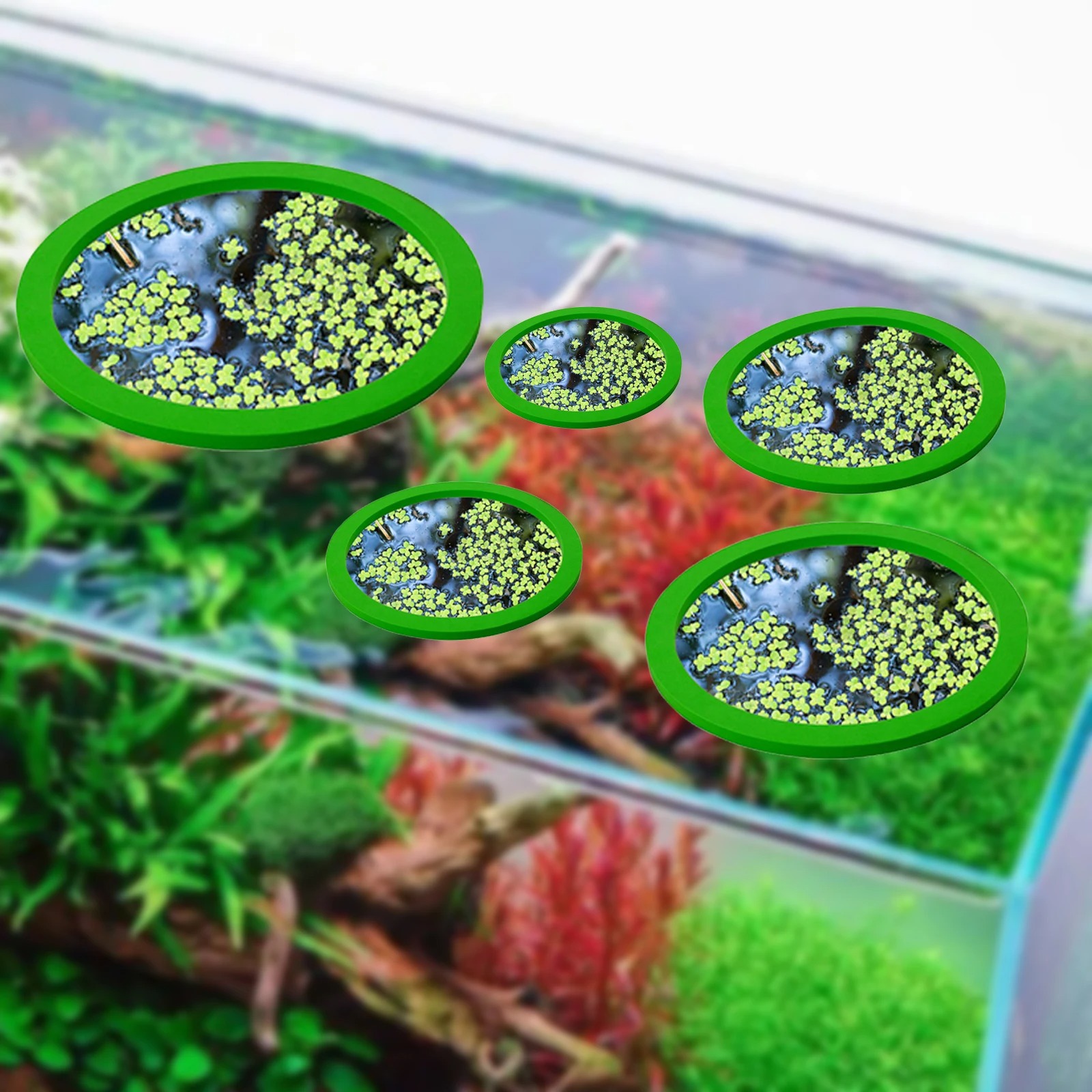 5Pcs EVA Fish Feeding Ring Aqu - đánh giá và giá Aquarium Marine Plants