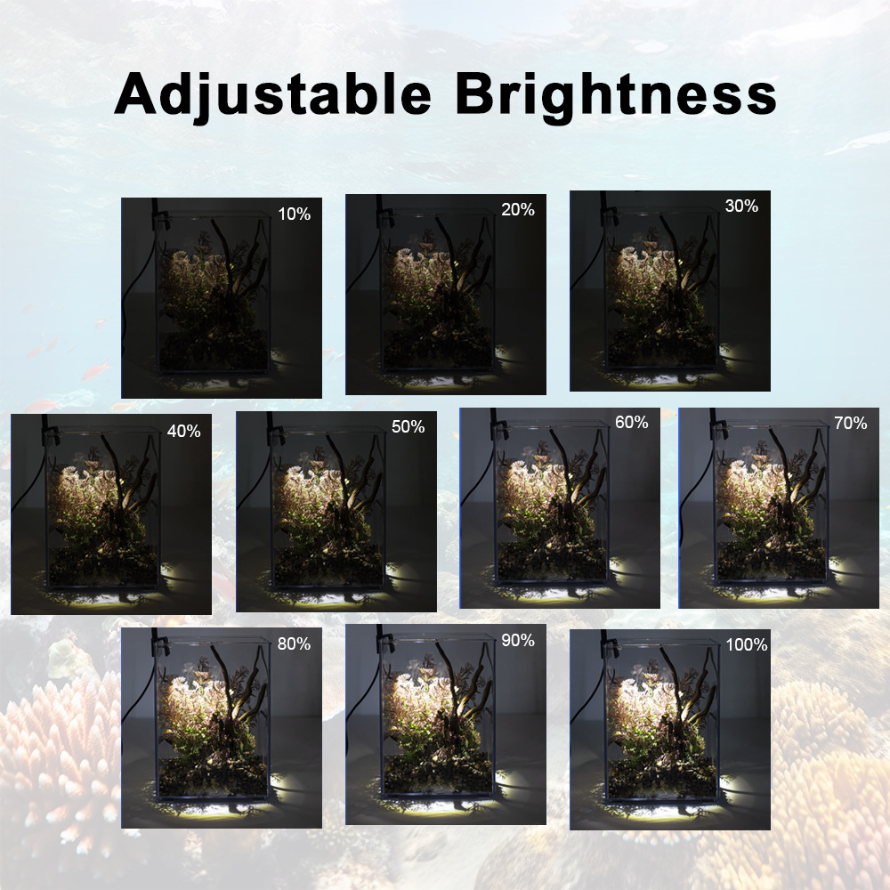 LED Clip-On Fish Tank Light Sm - đánh giá và giá Marine Aquarium Mini