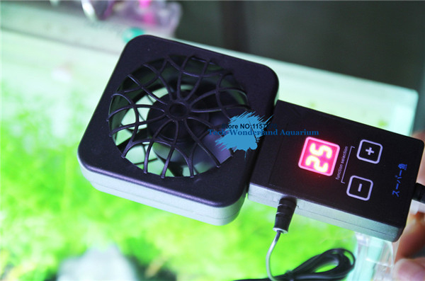 Mini nano clip treo trên quạt  - đánh giá và giá Aquarium Marine Plants