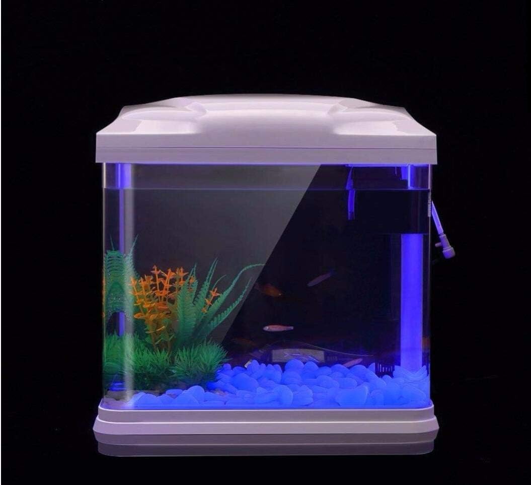 Fish Tank Rocks Glow Blue Pebb - đánh giá và giá Aquarium Marine Plants