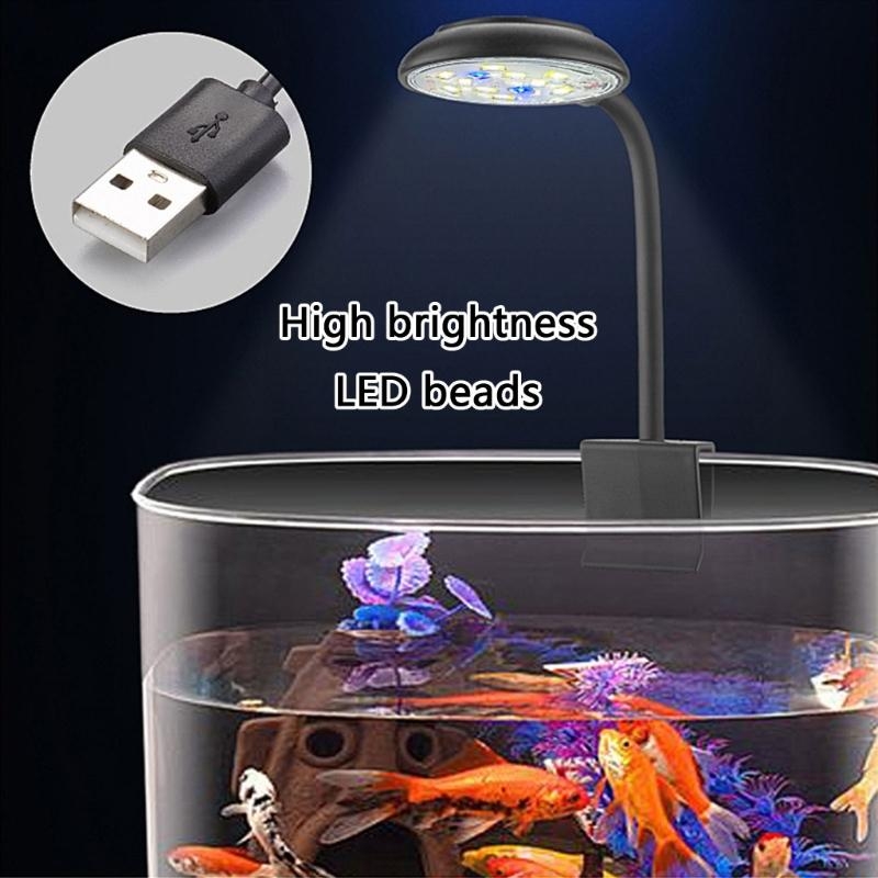 Điều chỉnh độ sáng LED Aquariu - đánh giá và giá Marine Life Aquariums