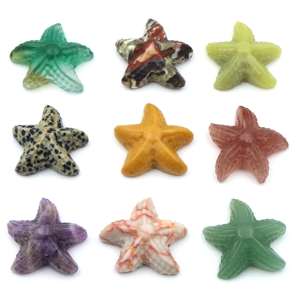 35mm Starfish Shape Statue Mar - đánh giá và giá Marine Aquarium & Regional Centre Photos