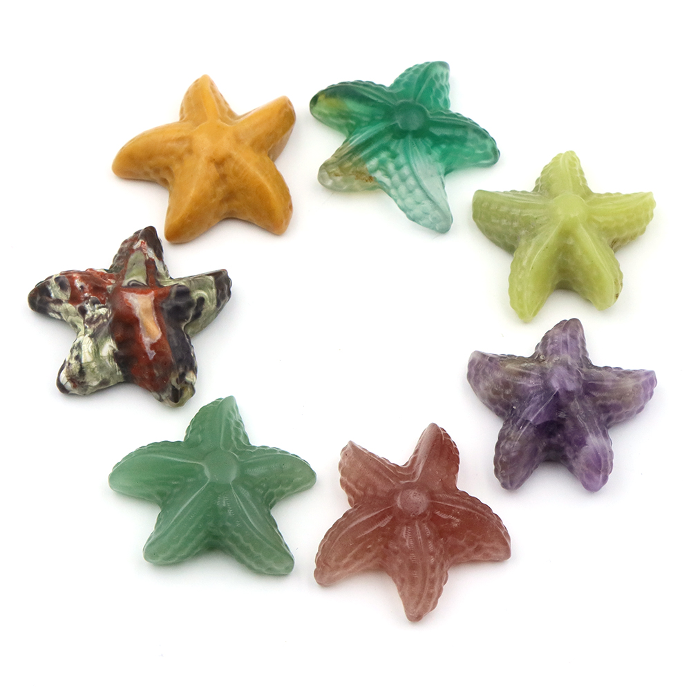 35mm Starfish Shape Statue Mar - đánh giá và giá Marine Aquarium & Regional Centre Photos