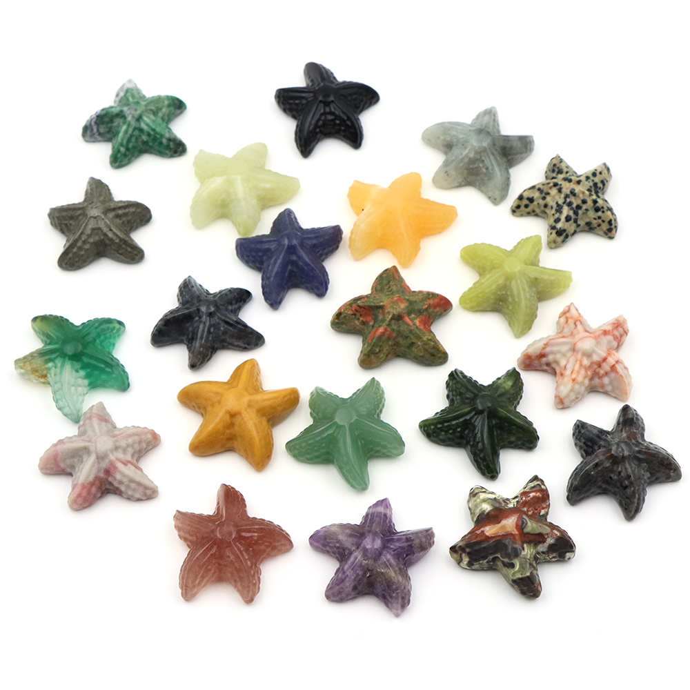 35mm Starfish Shape Statue Mar - đánh giá và giá Marine Aquarium & Regional Centre Photos