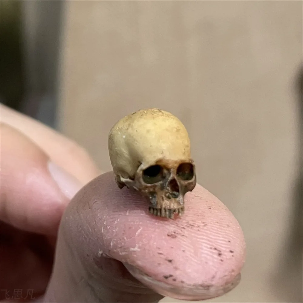 Mini Skull High Quality Miniat - đánh giá và giá Aquarium Marine Plants
