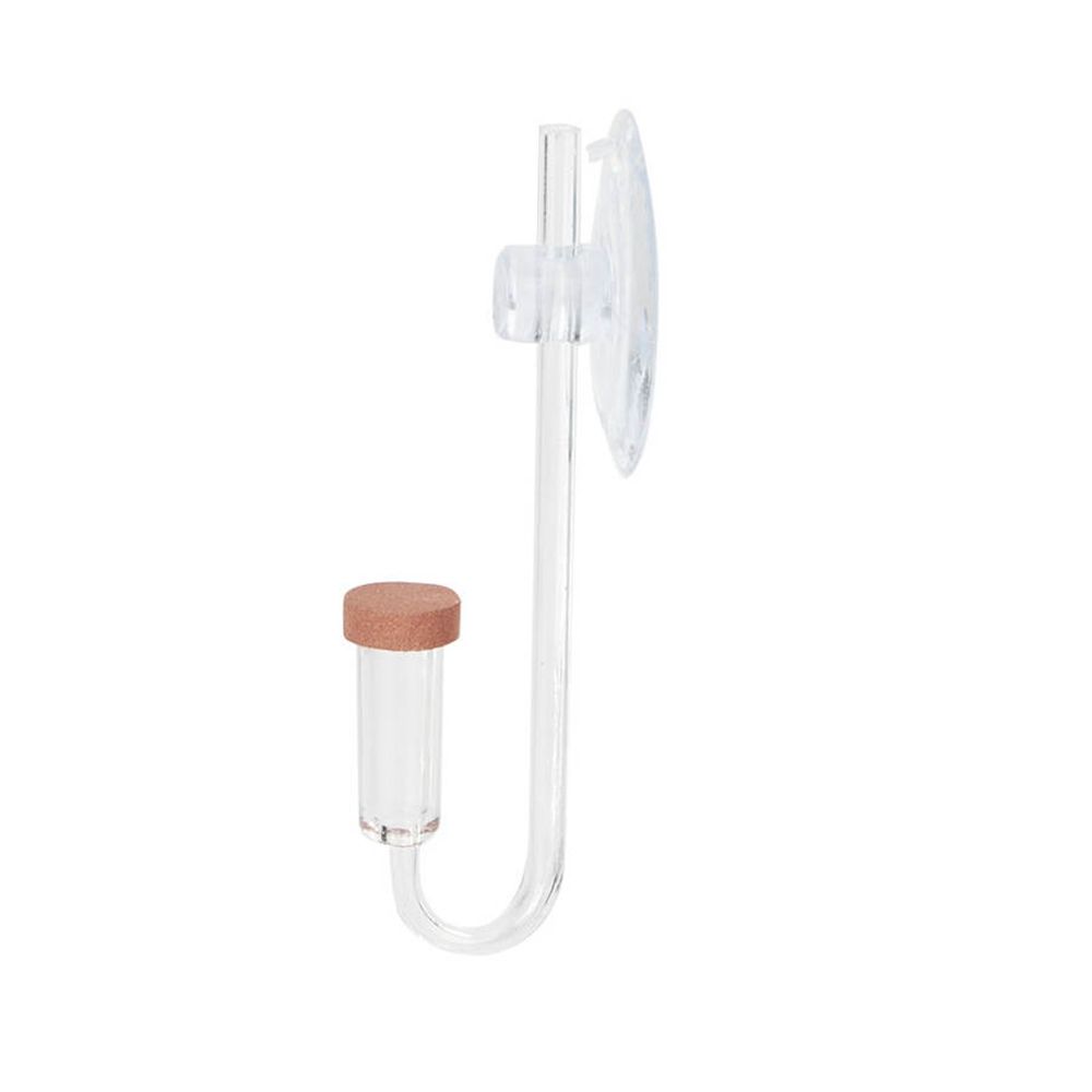 Acrylic Mini Fish Tank Live Pl - đánh giá và giá Marine Aquarium Mini