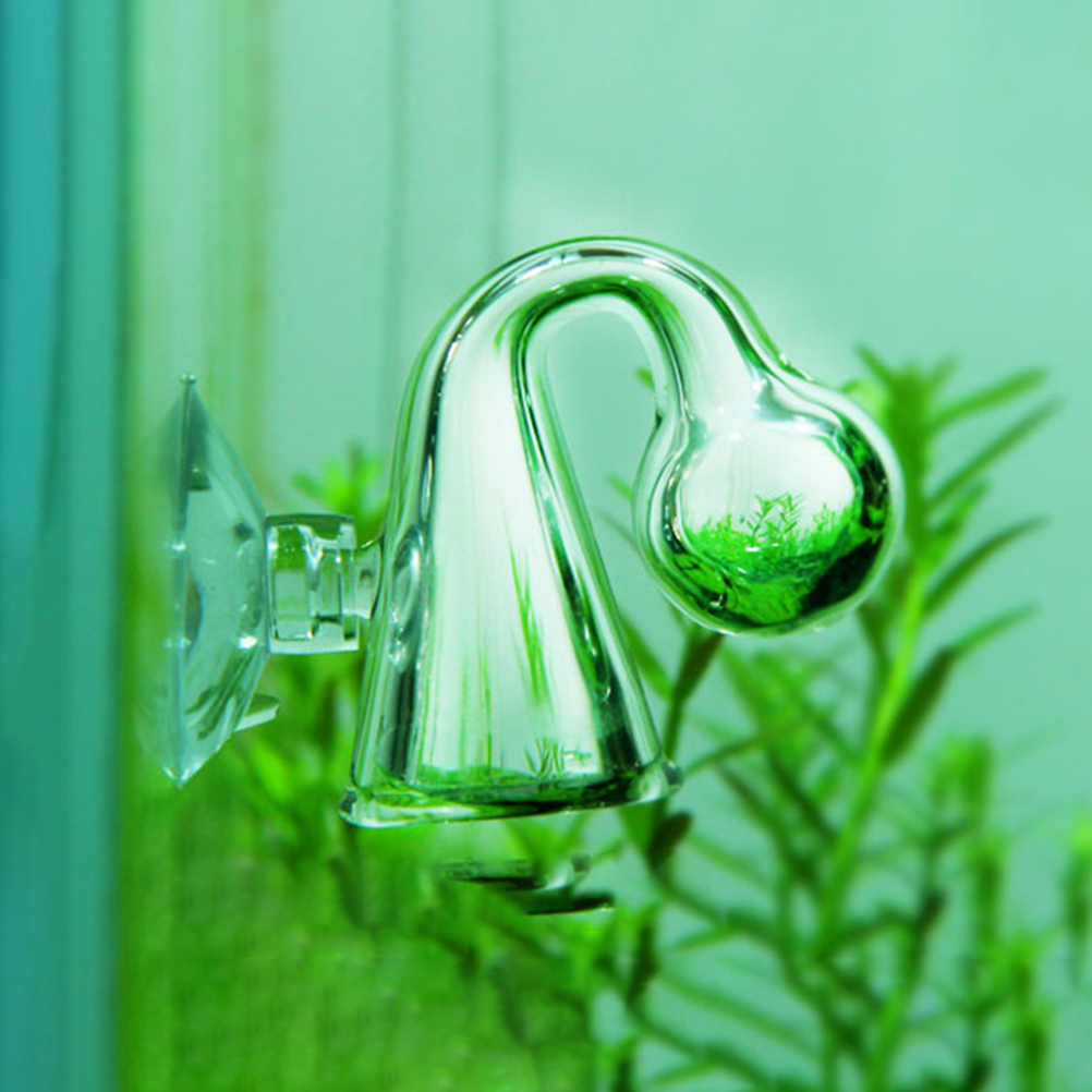 Fish Tank CO2 Diffuse Glass Dr - đánh giá và giá Aquarium Marine Plants